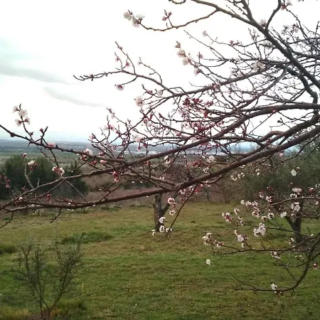 Villa La Muntanera
